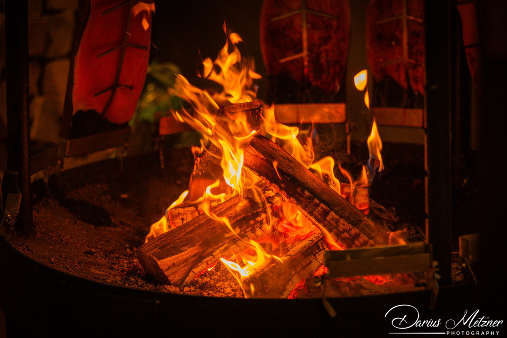 DSC_6970 | Fotografien, Fotos und Bilder aus Mainz, Frankfurt, Wiesbaden und anderen Orten auf der Welt - Fotografiert von Darius Metzner