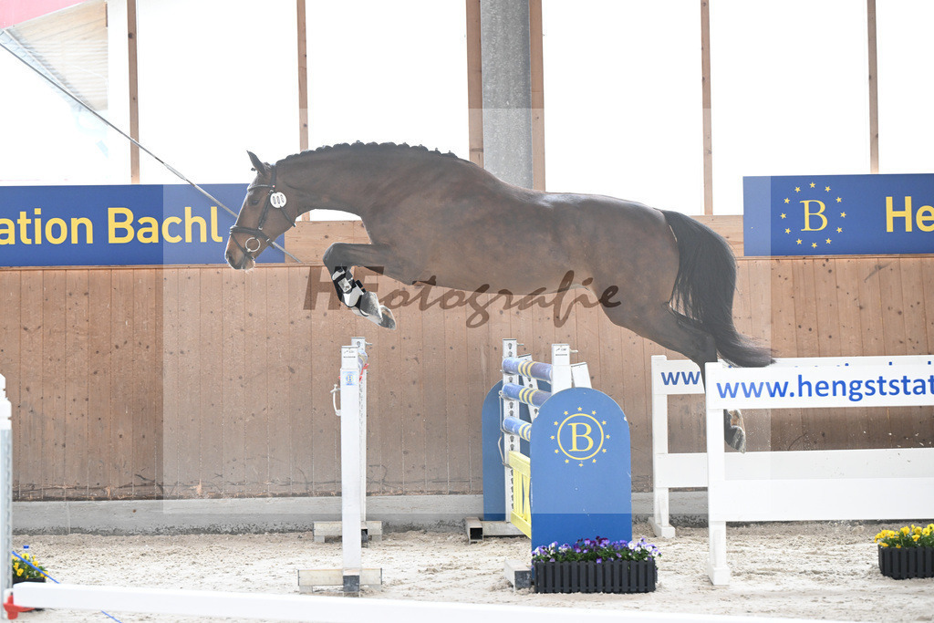 Kat-Nr. 8 nn v. Vigaro_Rau_5250254 | hf-fotografie - Realisiert mit Pictrs.com