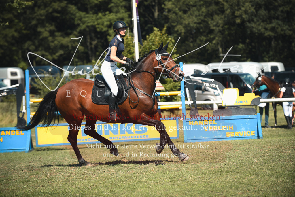DSC_7226 | Pferde- und Turnierfotografie in Westsachsen. Pferdeportraits, Auftragszeichnungen und intuitive Kunst.