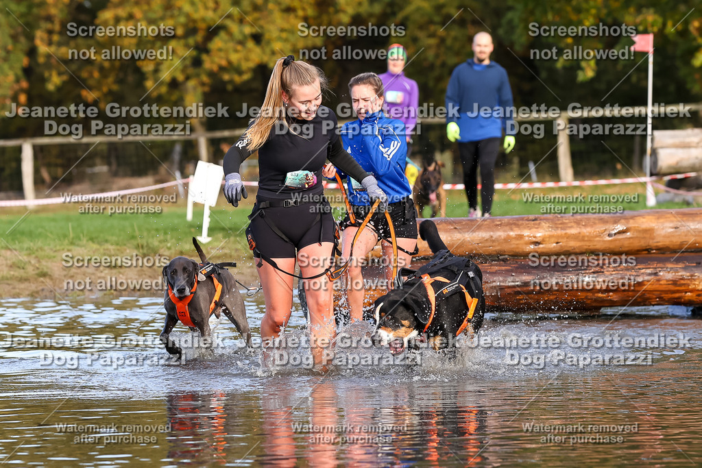 Dog Paparazzi - Strongdog 10-25-8330 | Dog Paparazzi Jeanette Grottendiek Fotografie & Videografie - Realisiert mit Pictrs.com