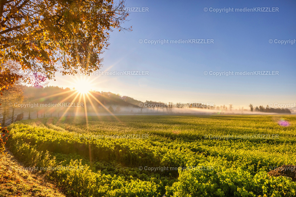 _J3A9198 | medienkrizzler - Realisiert mit Pictrs.com