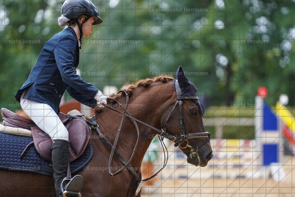 20231008-SN_01165 | Professionelle Turnier- und Reitsportfotografie - mit dem Finger am Auslöser. Pferdebilder aus dem Reitsport von den Turnierfotografen  Bayern , Pferdefotograf Bayern, Pferdeshooting Turnierbilder, Hochzeitsfotograf, Eventfotograf, Hochzeitsbilder