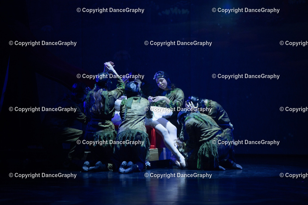 GPHY2296 | DanceGraphy - Realisiert mit Pictrs.com