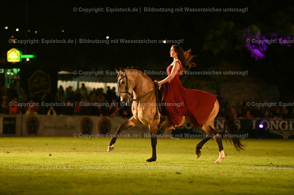 20230526_Pferdenacht_1391 | equistock