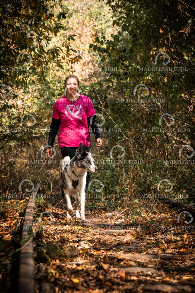 madeleinebirr.fotografie.2026.cc.hunsrueck.12-13Uhr.78 | hundefotografie-birr