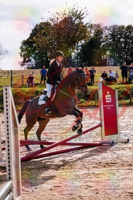 2026_10_03_Siefer-Hof_143457_Z81_02902367 | Professionelle Reitsport-, Turnier- und Eventfotografie von Robert Broda. Galerien mit ausgewählten und bearbeiteten Bildern direkt online ansehen und bestellen.
