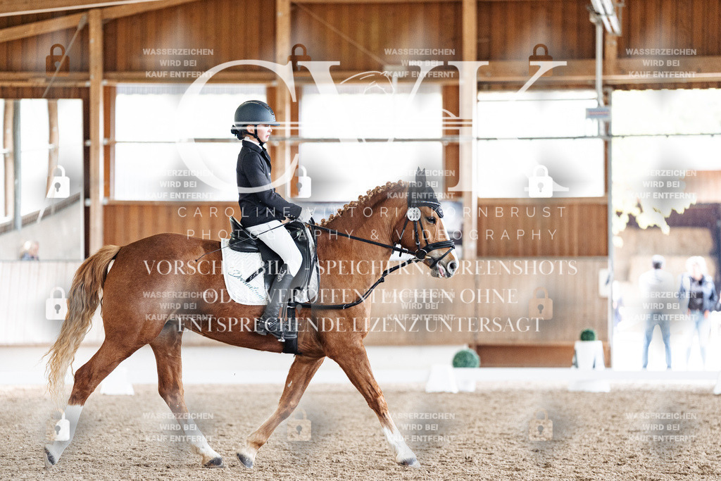 CK900851 | Turnierfotografie Pferdefotografie Trier Rheinland-Pfalz Pferdesport Reitsport Tierfotografie Sportfotografie Pferdevideo Pferdevideografie Equestrianvideography equestrianphotography  - Realized with Pictrs.com