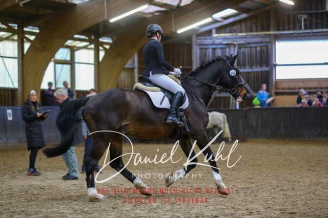 IMG_1614 | Turniersportfotografie; Pferdefotografie; Dressurfotografie