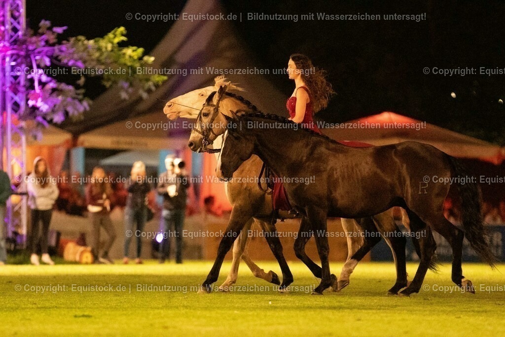20230526_Pferdenacht_1481 | equistock