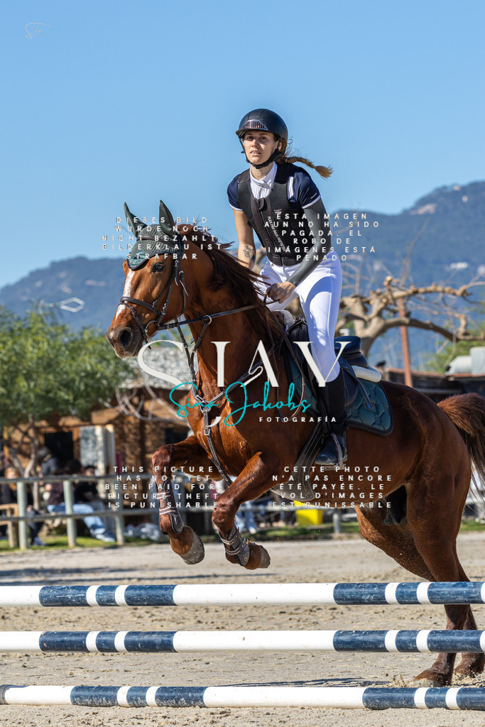 IMG_8820 | s-jay-photography - Realisiert mit Pictrs.com