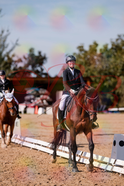 2026_10_03_Siefer-Hof_125937_Z81_50847225 | Professionelle Reitsport-, Turnier- und Eventfotografie von Robert Broda. Galerien mit ausgewählten und bearbeiteten Bildern direkt online ansehen und bestellen.
