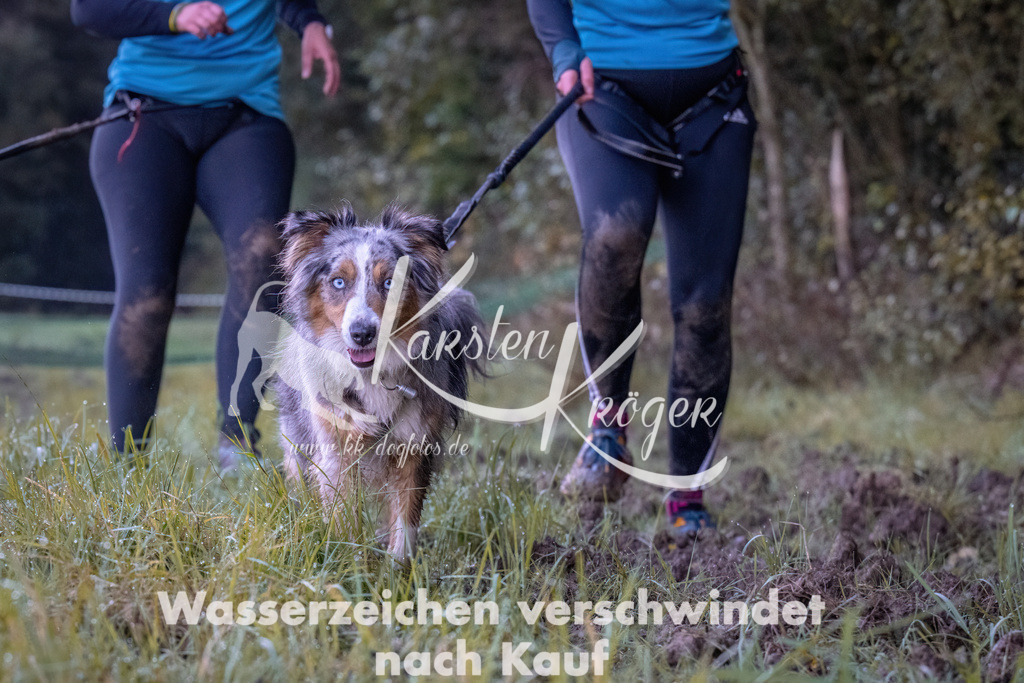 0816_ZZ90142 | kk-dogfotos