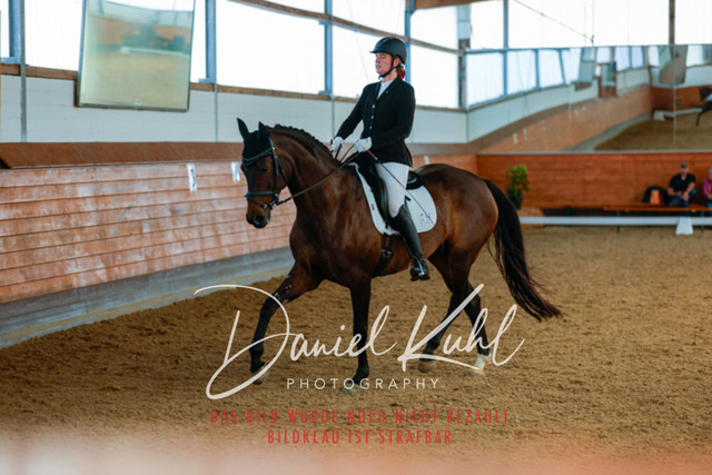 _62_4855 | Turniersportfotografie; Pferdefotografie; Dressurfotografie