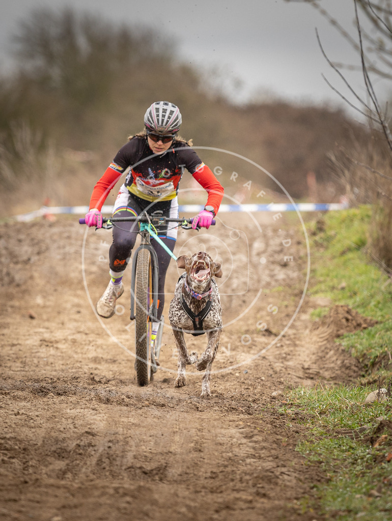 DV3A1244 | Hundefotografie, Tierfotograf, Pfotenfotografie, Fotoshooting Hund, Hunde Portrait, Hundesport, Hundeportraits, Heideshooting, Hunde, Sportfotograf, Hundefotograf, Turnierhundsport, THS,  - Realisiert mit Pictrs.com