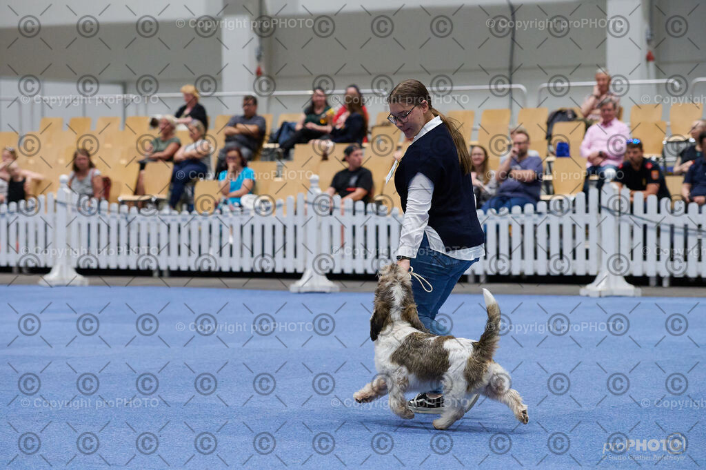202406_ÖKV-IHA-Tulln24_DSC_3085 | proPHOTO - Realisiert mit Pictrs.com