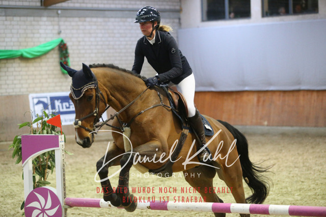 IMG_0880 | Deine Turnierfotos vom Reitturnier online kaufen: Dressur, Springen & Siegerehrung. Professionelle Pferdefotografie aus dem Rheinland – als Download & Print.Alternative: Turnierfotograf für den Pferdesport: Finde deine Fotos von Dressur- und Springturnier