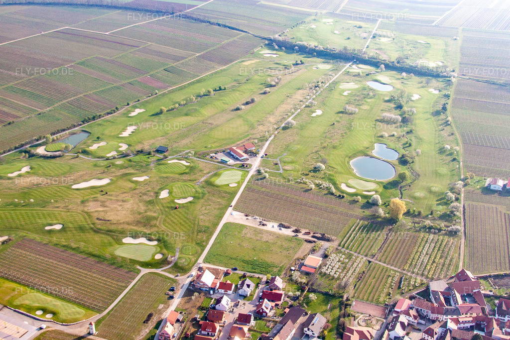 Luftbild: Dackenheim, Golfplatz in Dackenheim im Bundesland Rheinland-Pfalz in Deutschland. Foto: IMG_49661.jpg vom 13.04.2012 durch Werner Riehm/FLY-FOTO.de