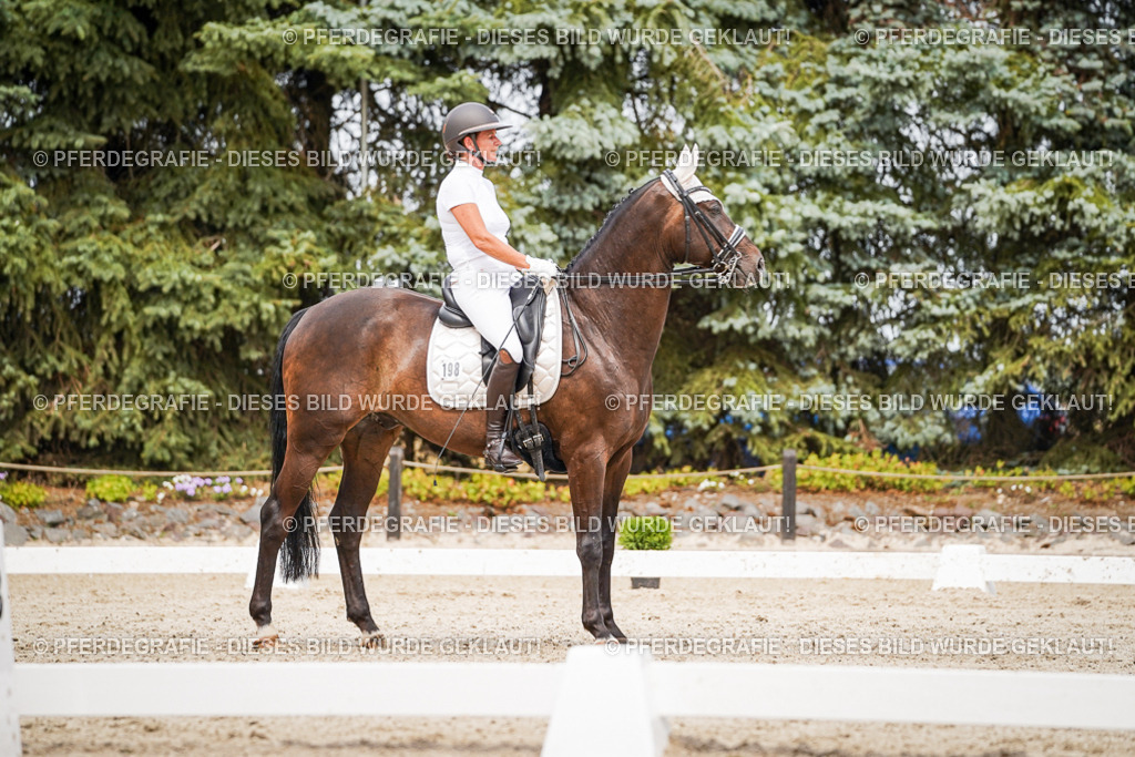 DSC06336 | Pferdegrafie