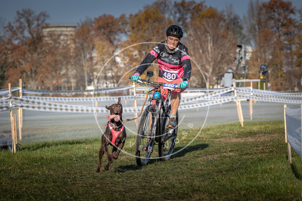 CaniXpix_0L8A4683 | Hundefotografie, Tierfotograf, Pfotenfotografie, Fotoshooting Hund, Hunde Portrait, Hundesport, Hundeportraits, Heideshooting, Hunde, Sportfotograf, Hundefotograf, Turnierhundsport, THS,  - Realisiert mit Pictrs.com