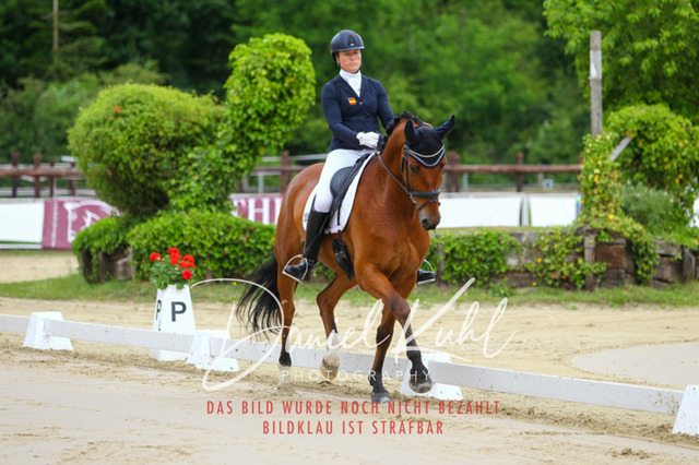 DKP46116 | Turniersportfotografie; Pferdefotografie; Dressurfotografie