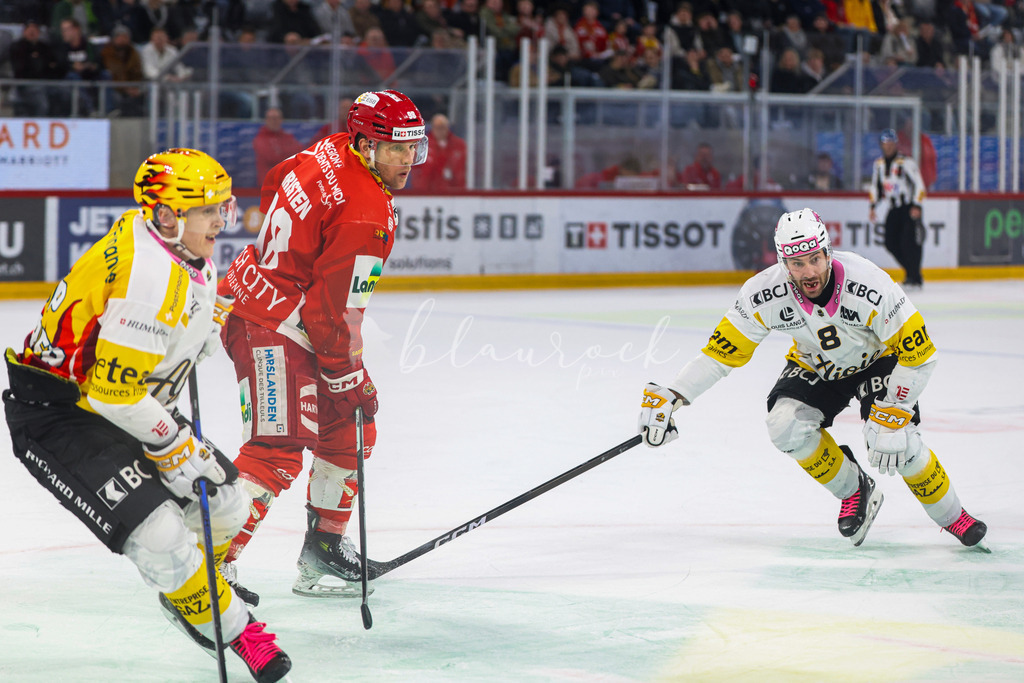 EHCB vs HCA 20260127_wb-9736 | Sportbilder, Sportfotograf, Hochzeits- und Eventfotografin, Flugshows, Portraits und Tiershooting, Aviation, Downhill, Nationalleague, Swissleague, International