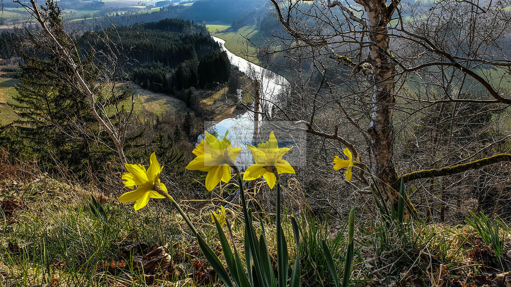 Petersgrat Frühling | Impressionen rund um Hochfranken - Frankenwald - Fichtelgebirge - Realisiert mit Pictrs.com