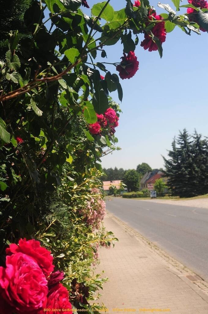 Geißmannsdorf-2026-Ortsbilder-345 | Geißmannsdorf bei Bischofswerda im Sommer 2026. Ein fotografischer Streifzug durch das Dorf Geißmannsdorf, mit Gebäuden, Straßen, Strohpuppen und geschmückten Vorgärten und Grundstücken anlässlich der 800-Jahr-Feier von Geißmannsdorf im Juni 2026 - Realisiert mit Pictrs.com