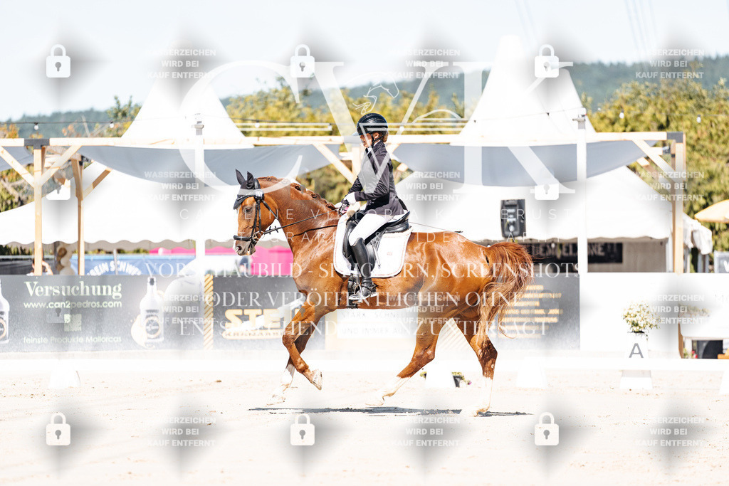 CK908922 | Turnierfotografie Pferdefotografie Trier Rheinland-Pfalz Pferdesport Reitsport Tierfotografie Sportfotografie Pferdevideo Pferdevideografie Equestrianvideography equestrianphotography  - Realisiert mit Pictrs.com