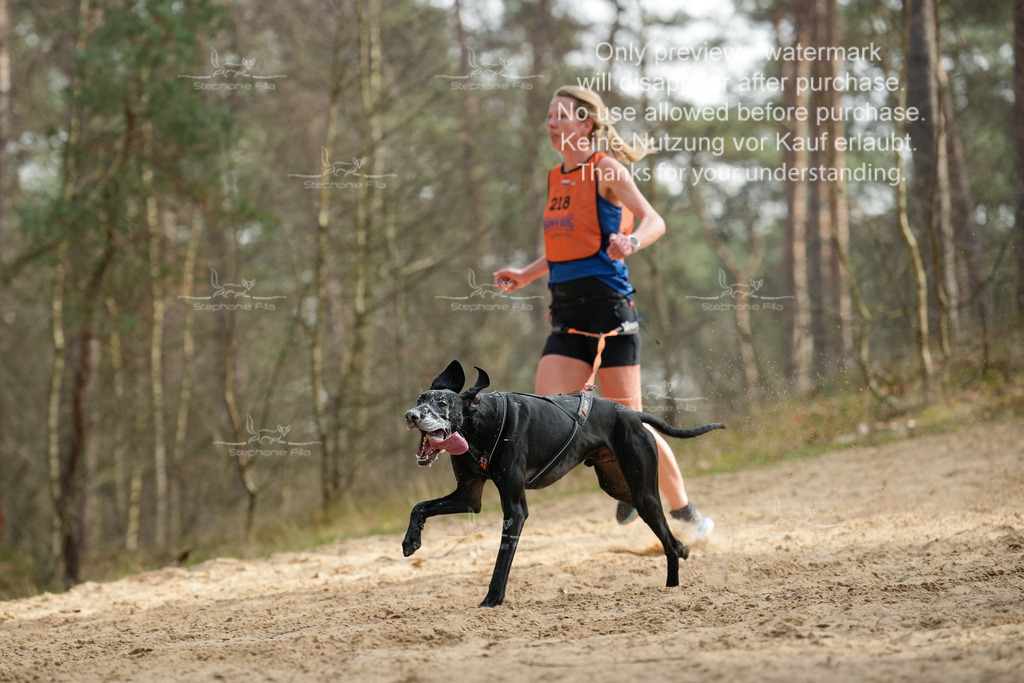 LangeCross-16 | stephaniefillaphotographie - Realisiert mit Pictrs.com