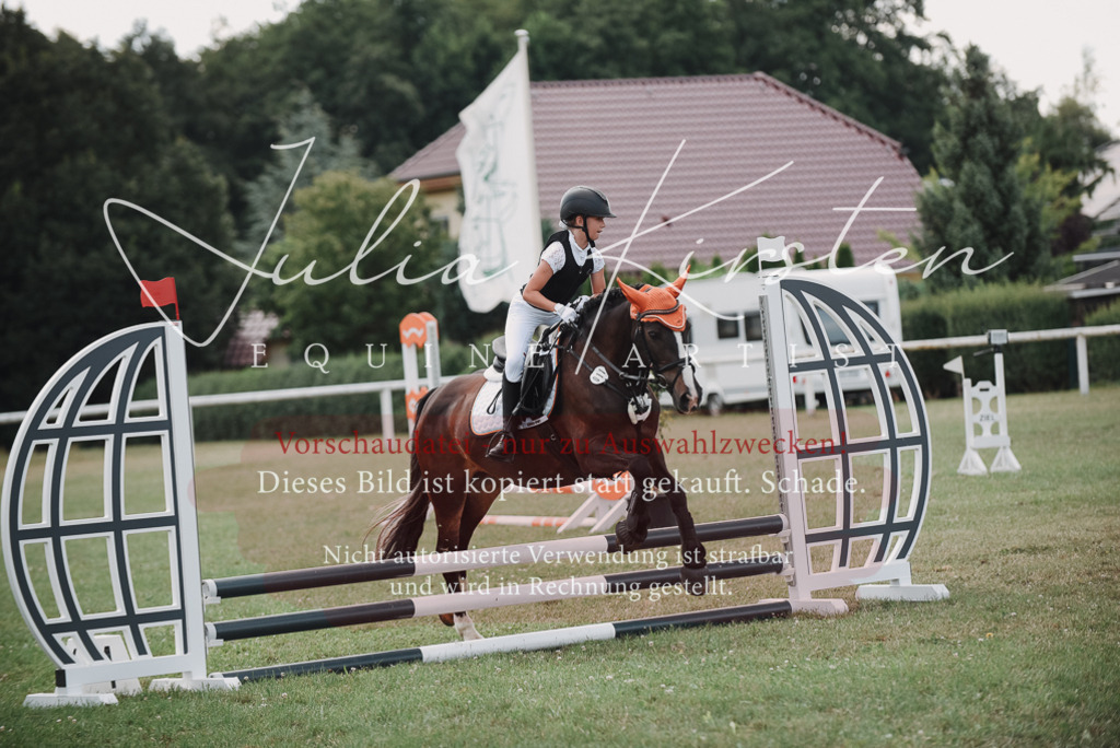 DSC_5733 | Pferde- und Turnierfotografie in Westsachsen. Pferdeportraits, Auftragszeichnungen und intuitive Kunst.