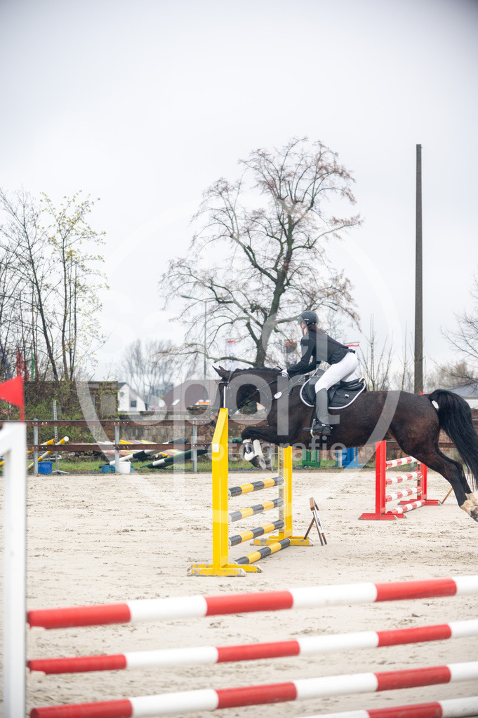 DSC_8422 | sattelsport - Realisiert mit Pictrs.com