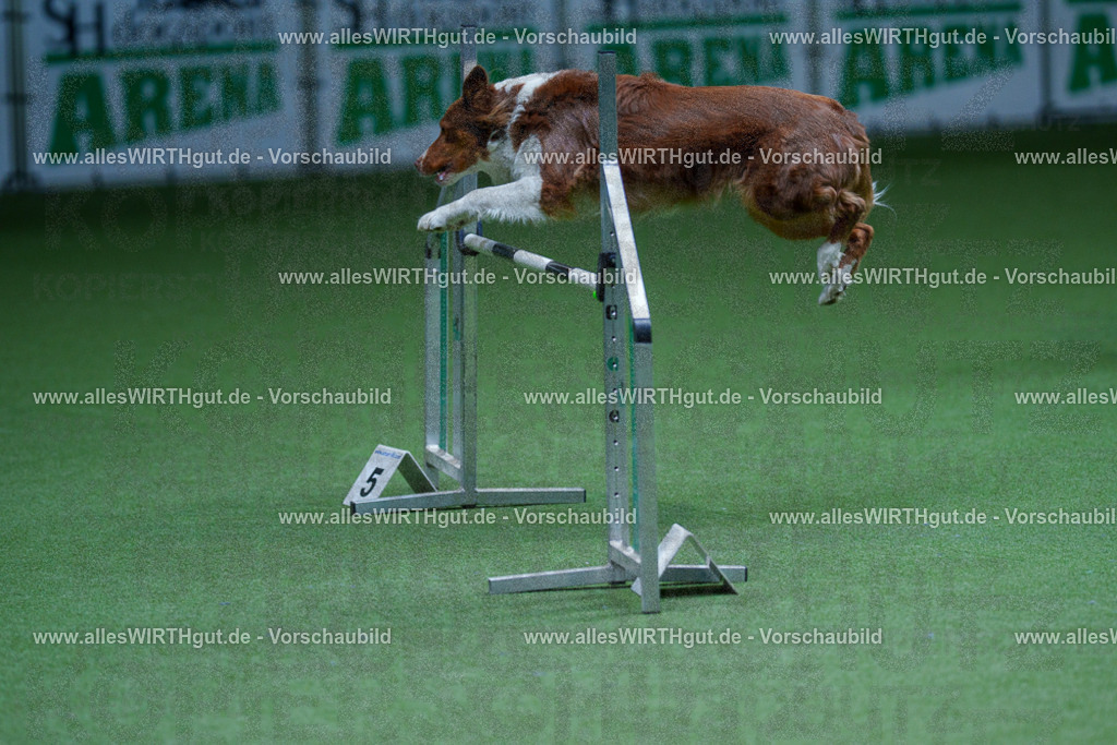 @allesWIRTHgut_Tierfotografie - www.allesWIRTHgut.de - 2604251227-7R501806 | Professionelle Tierfotografie in Mönchengladbach von Daniel Wirth (allesWIRTHgut). Liebevolle & natürliche Bilder von Hunden & Katzen für unvergessliche Erinnerungen.