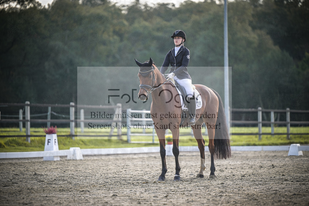 DOS_4958 | Entdecke hochwertige Reitturnierfotos von Foto Oger. Professionell, emotional und authentisch – jetzt Lieblingsmomente im Shop bestellen.Deutschlandweite Turnierfotografie. - Realisiert mit Pictrs.com