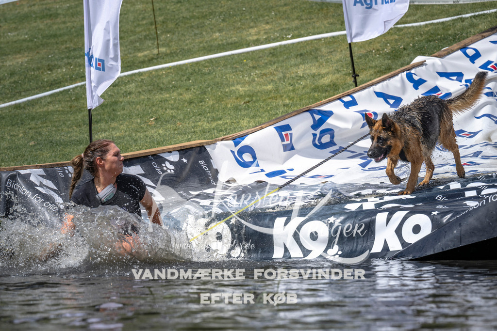 1159_ZZ94572 | kk-dogfotos