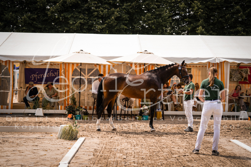 2. Fr00123 | Leoni Ertmer Photography - Realisiert mit Pictrs.com