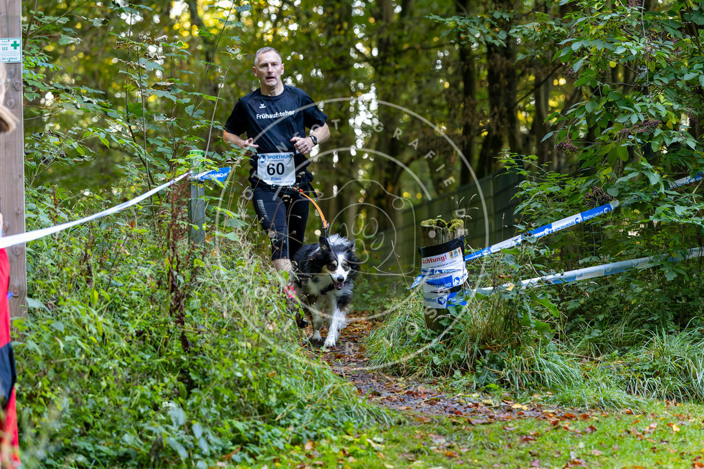 Pfotenfotografie_DV3A7179 | Hundefotografie, Tierfotograf, Pfotenfotografie, Fotoshooting Hund, Hunde Portrait, Hundesport, Hundeportraits, Heideshooting, Hunde, Sportfotograf, Hundefotograf, Turnierhundsport, THS,  - Realisiert mit Pictrs.com
