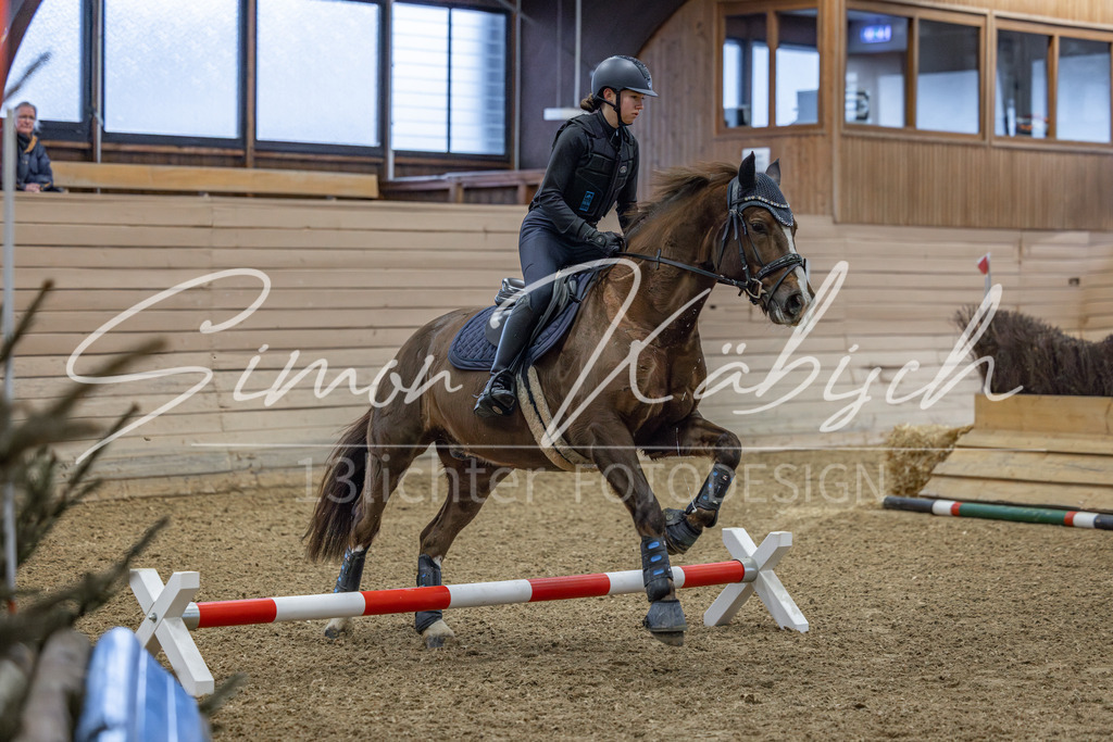 20260221-_3LI8363 | Tierfotografie Pferde, Hunde, Katzen, Haustiere.
Turnierfotografie Reitturniere, Reiten, Springreiten, Dressur in Hanau, dem Main-Kinzig-Kreis und dem Rhein-Main- Gebiet um Frankfurt