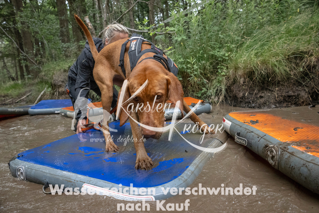 0928_ZZ92505 | kk-dogfotos
