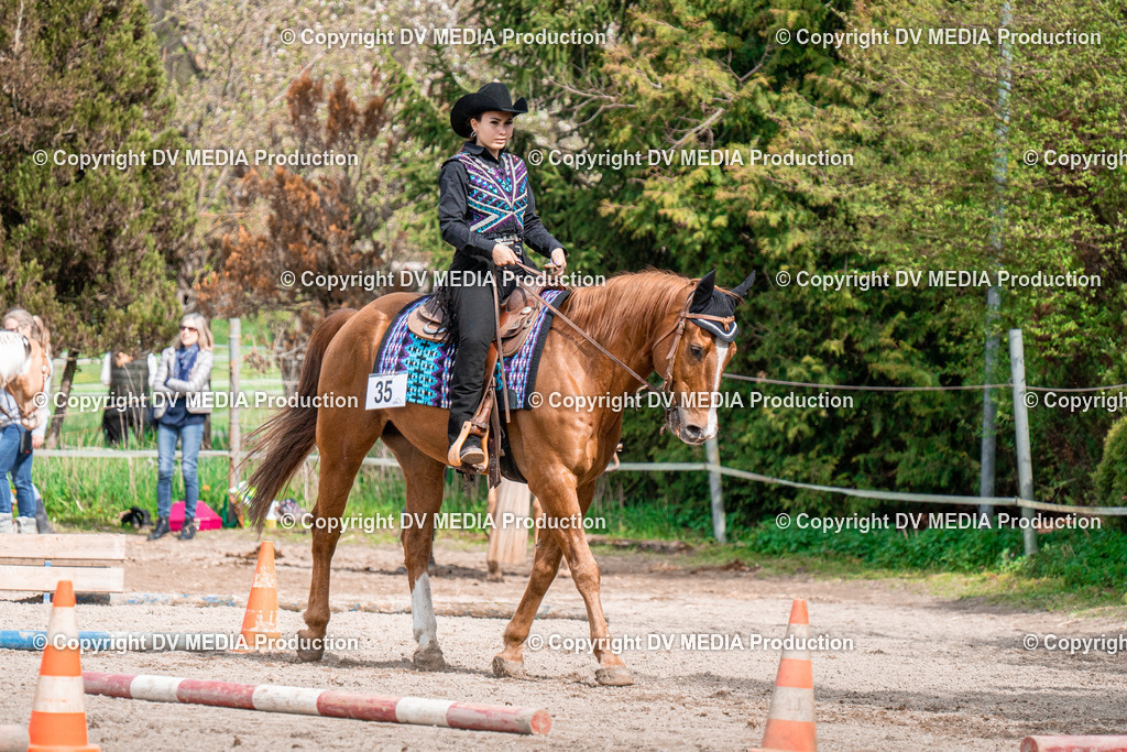 BAL02582 | dv-media-shop - Realisiert mit Pictrs.com