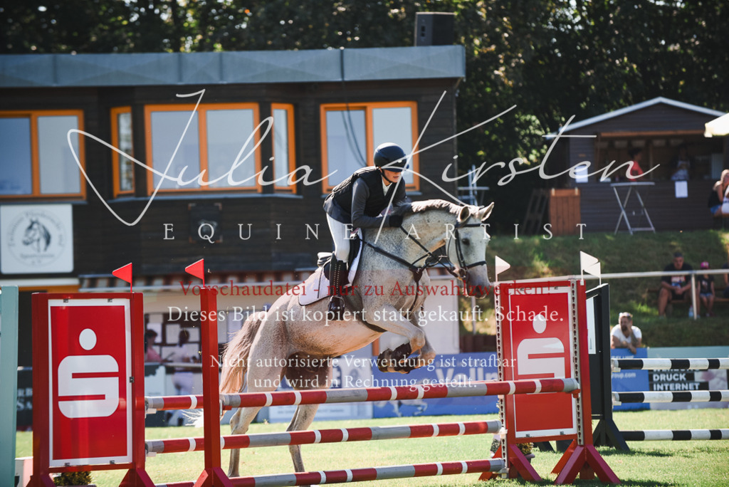 DSC_2545 | Pferde- und Turnierfotografie in Westsachsen. Pferdeportraits, Auftragszeichnungen und intuitive Kunst.