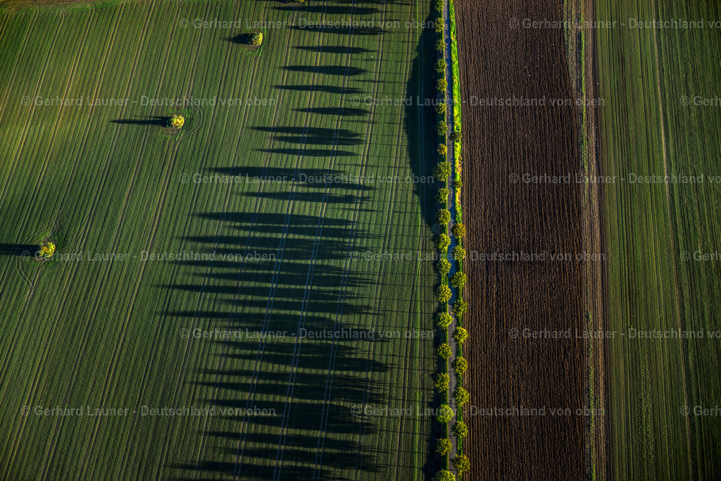 3491227 | Baumallee am Kemnader See, Witten