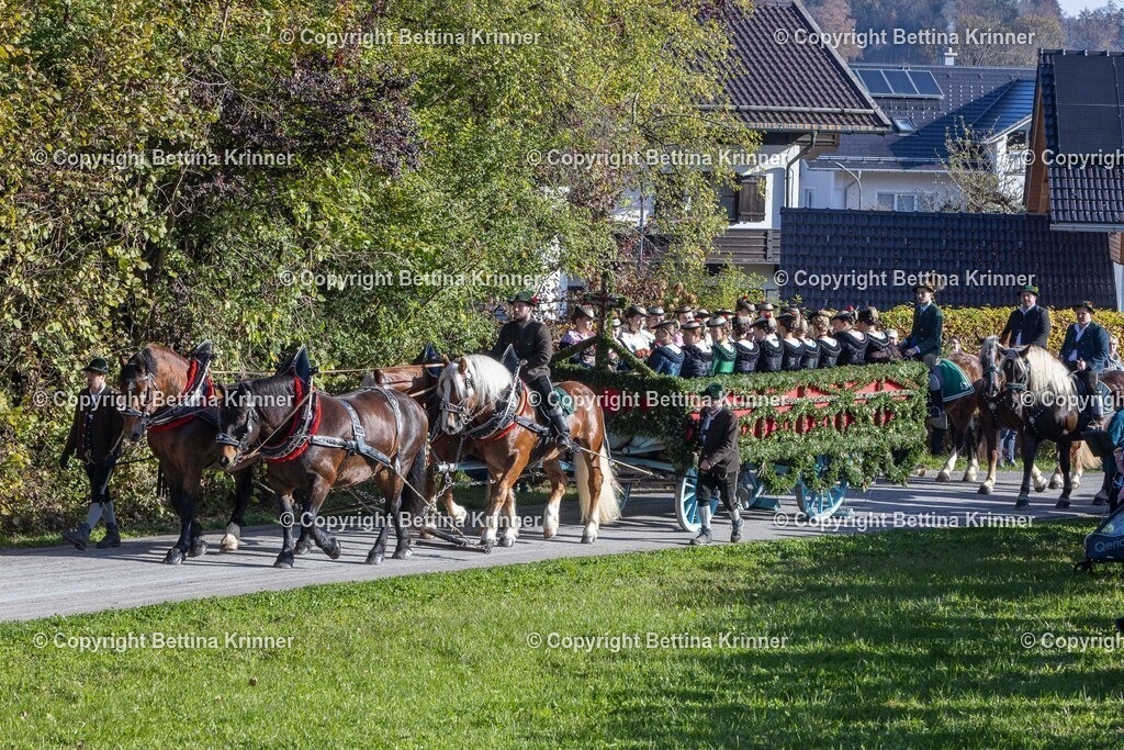 LBT24-555 | foto-bettina-krinner - Realisiert mit Pictrs.com
