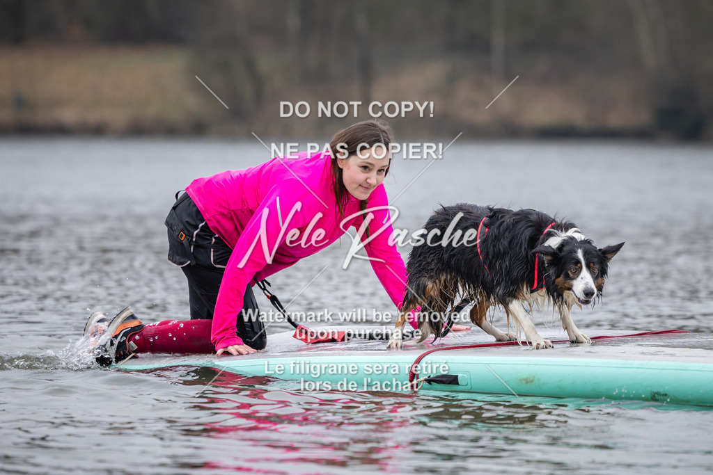 nelerasche_Hulsbeek_Sa1515-1600_546 | nelerasche