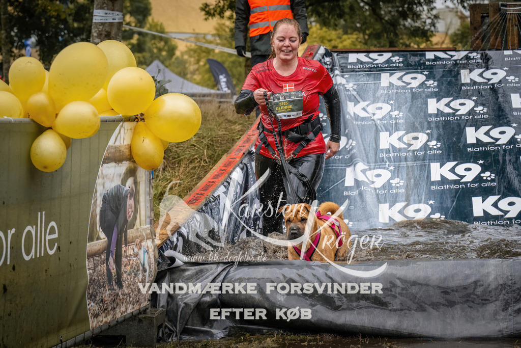1237_ZZ90347 | kk-dogfotos
