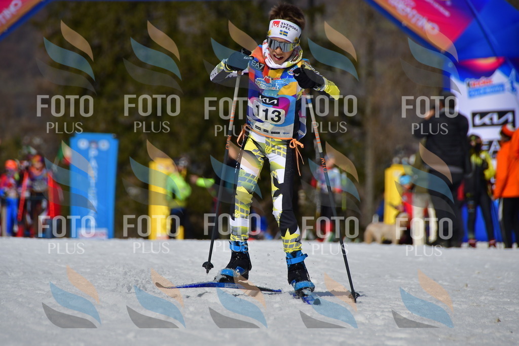 _DSC9999 | holidayphoto