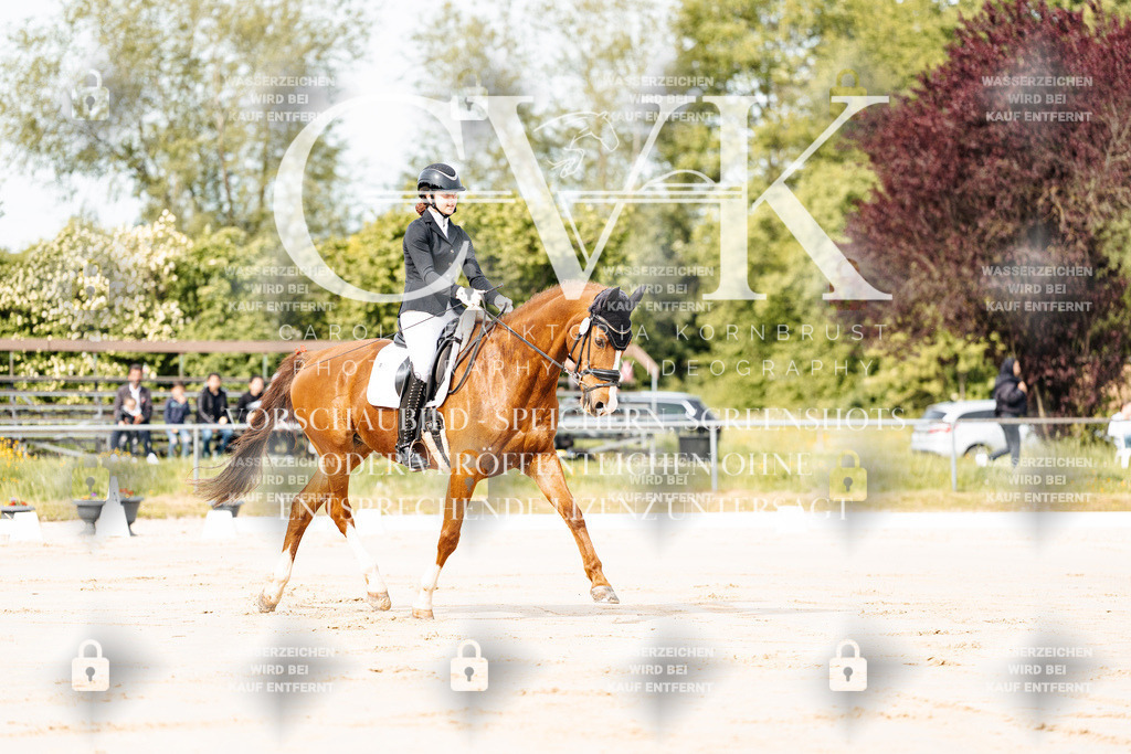 CK900616 | Turnierfotografie Pferdefotografie Trier Rheinland-Pfalz Pferdesport Reitsport Tierfotografie Sportfotografie Pferdevideo Pferdevideografie Equestrianvideography equestrianphotography  - Realisiert mit Pictrs.com