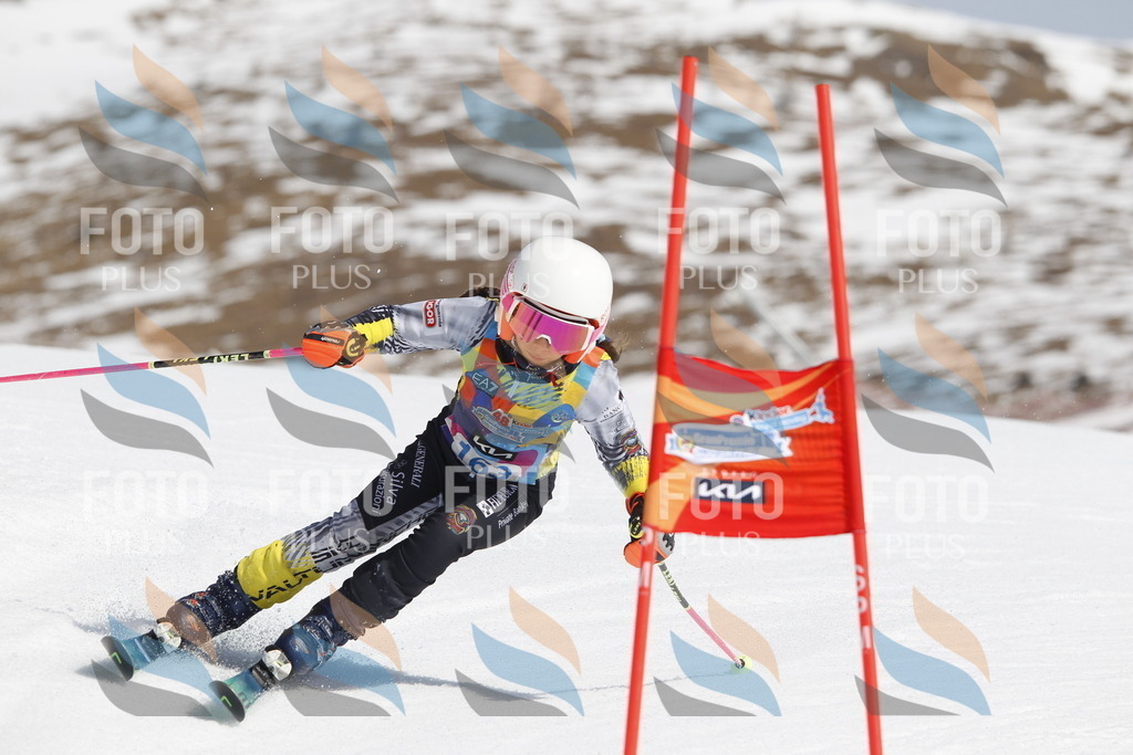 _U3G1404 | holidayphoto