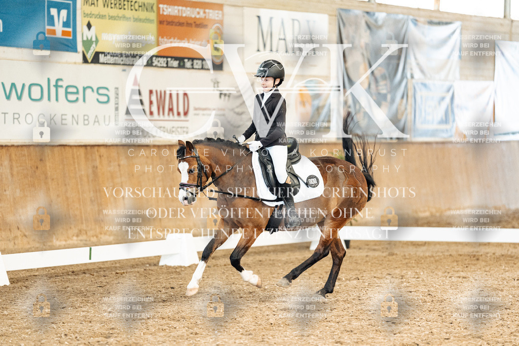 CK900554 | Turnierfotografie Pferdefotografie Trier Rheinland-Pfalz Pferdesport Reitsport Tierfotografie Sportfotografie Pferdevideo Pferdevideografie Equestrianvideography equestrianphotography  - Realisiert mit Pictrs.com