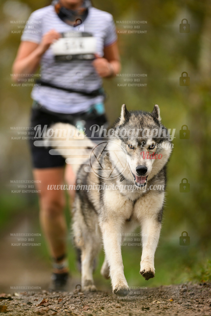 MompixPhotography_20TSB_E6_Run-175 | PayLife