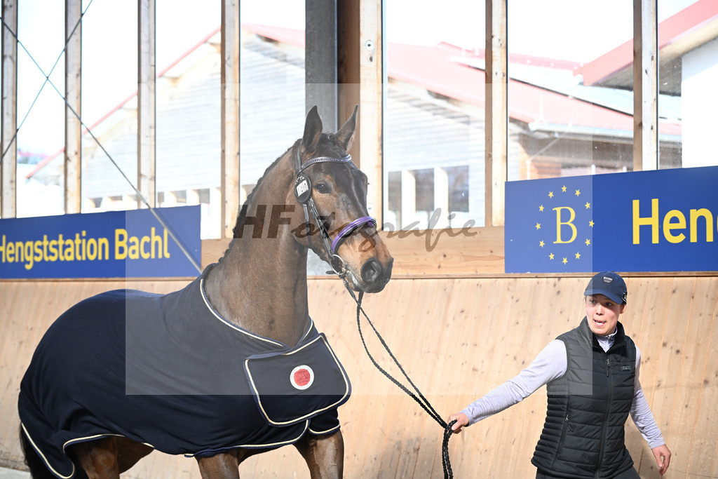 Kat-Nr. 40 Emma von Imhoff v. Cornet Obolensky_Imhoff_5251924 | hf-fotografie - Realisiert mit Pictrs.com